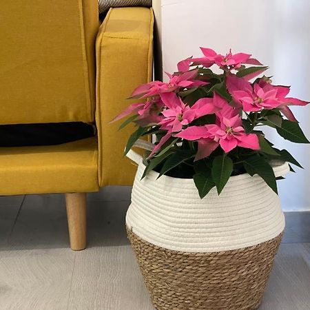 Nuevo Apartamento Folin Don Benito Exteriér fotografie