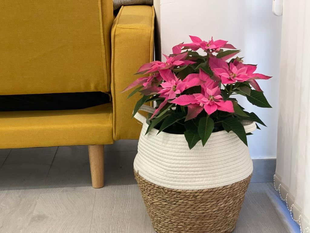 Nuevo Apartamento Folin Don Benito Exteriér fotografie